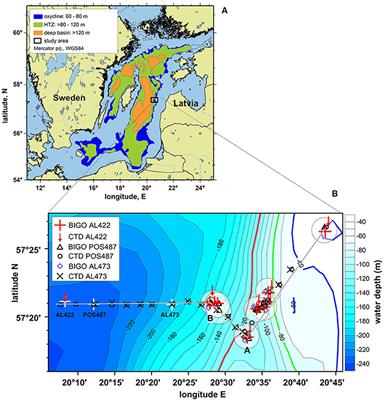 Major Bottom Water Ventilation Events Do Not Significantly Reduce Basin-Wide Benthic N and P Release in the Eastern Gotland Basin (Baltic Sea)